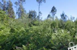 Rustic land - Land, Meinedo, Lousada