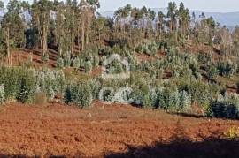 Land, Ferreira, Paços de Ferreira