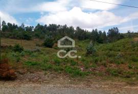Land, Freamunde, Paços de Ferreira