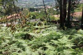 Land, Valpedre, Penafiel