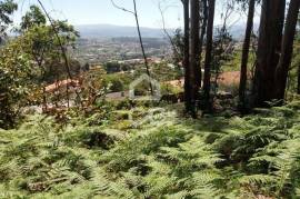 Land, Valpedre, Penafiel