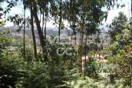Land, Valpedre, Penafiel