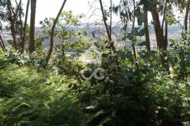 Land, Valpedre, Penafiel