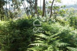 Land, Valpedre, Penafiel