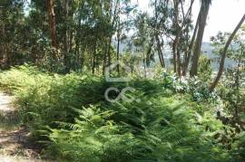 Land, Valpedre, Penafiel