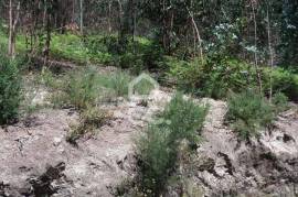 Land, Valpedre, Penafiel