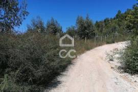 Land, Silvares, Lousada