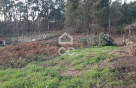 Land, Guilhufe, Penafiel