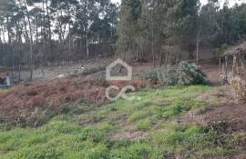 Land, Guilhufe, Penafiel