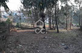 Land, Guilhufe, Penafiel