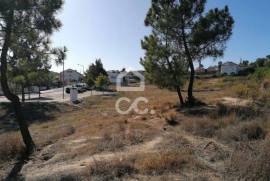 Allotment for Building Apartment Blocks