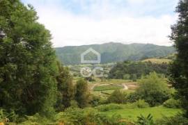 Land of 80,034 m2; Consisting of Mata Cryptoméria and Pasture; View Furnas Valley. Investment.