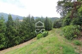Land of 80,034 m2; Consisting of Mata Cryptoméria and Pasture; View Furnas Valley. Investment.