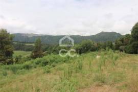 Land of 80,034 m2; Consisting of Mata Cryptoméria and Pasture; View Furnas Valley. Investment.