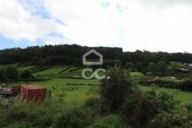 Land of 80,034 m2; Consisting of Mata Cryptoméria and Pasture; View Furnas Valley. Investment.