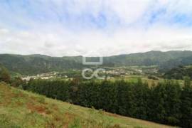 Land of 80,034 m2; Consisting of Mata Cryptoméria and Pasture; View Furnas Valley. Investment.