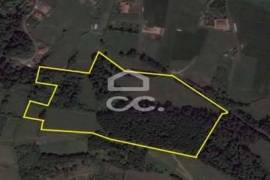 Land of 80,034 m2; Consisting of Mata Cryptoméria and Pasture; View Furnas Valley. Investment.
