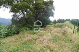 Land of 80,034 m2; Consisting of Mata Cryptoméria and Pasture; View Furnas Valley. Investment.