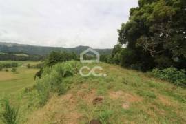 Land of 80,034 m2; Consisting of Mata Cryptoméria and Pasture; View Furnas Valley. Investment.
