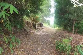 Land of 80,034 m2; Consisting of Mata Cryptoméria and Pasture; View Furnas Valley. Investment.