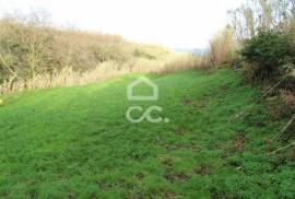 Rustic land w/ 3680 m2;  For Cultivation and Pasture;  Sea View.
