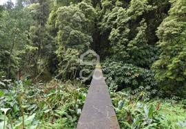 Land Lagoa (Açores) Água de Pau