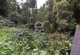 Land Lagoa (Açores) Água de Pau