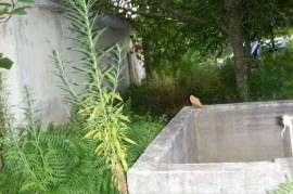 House in Stone for Reconstruction