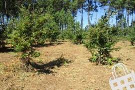 Land with 5,460m2 Land with 5,460m2
