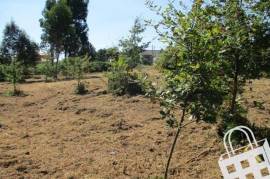 Land with 5,460m2 Land with 5,460m2
