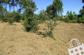 Land with 5,460m2 Land with 5,460m2