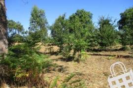 Land with 5,460m2 Land with 5,460m2
