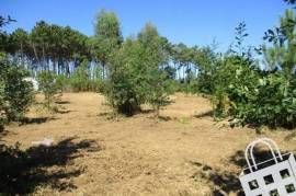 Land with 5,460m2