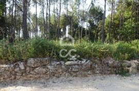 Land with 14.000m2 Land with 14.000m2