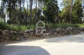 Land with 14.000m2