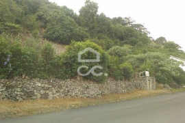 Land - Fontinhas