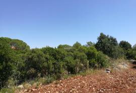 Rustic plot - Alto Fica