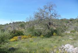 Building Land & Ruin Building Land & Ruin