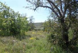 Building Land & Ruin Building Land & Ruin