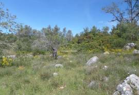 Building Land & Ruin Building Land & Ruin