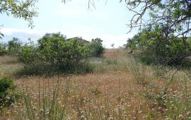 Big plot with ruin - near Albufeira Big plot with ruin - near Albufeira