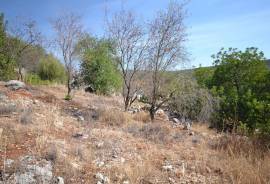 Old house rustic style with land