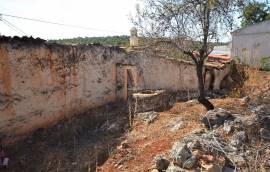 Old house rustic style with land