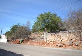 Old house rustic style with land