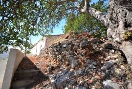 Old house rustic style with land