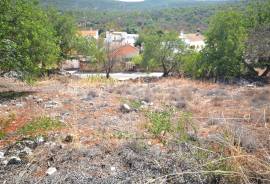 Old house rustic style with land