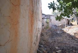 Old house rustic style with land