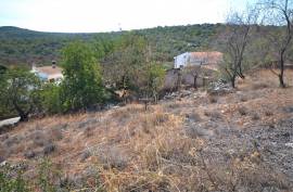 Old house rustic style with land