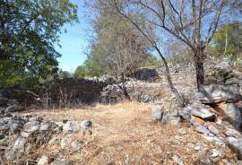 Old house rustic style with land