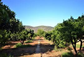 Building: 3+1 Bed Villa, 2 Commercial Spaces - Loulé / EN125